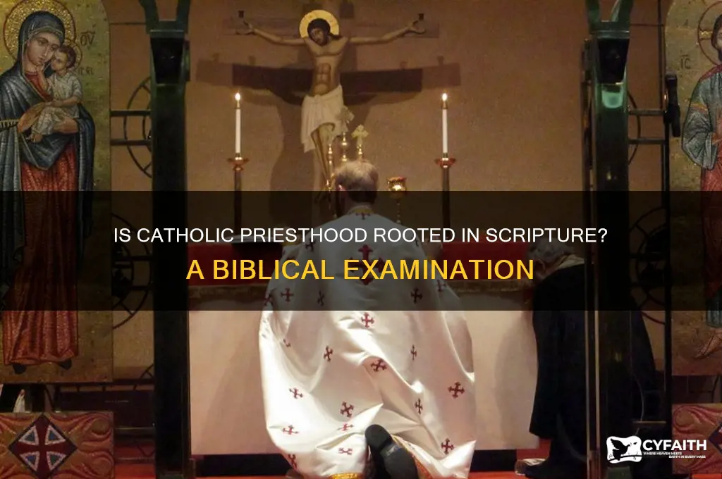 is catholic priesthood biblical