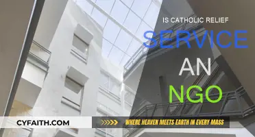 Catholic Relief Services: An NGO?