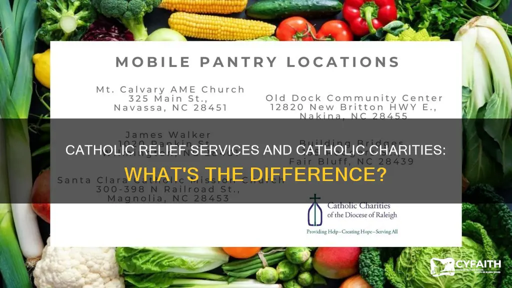is catholic relief services versus catholic charities