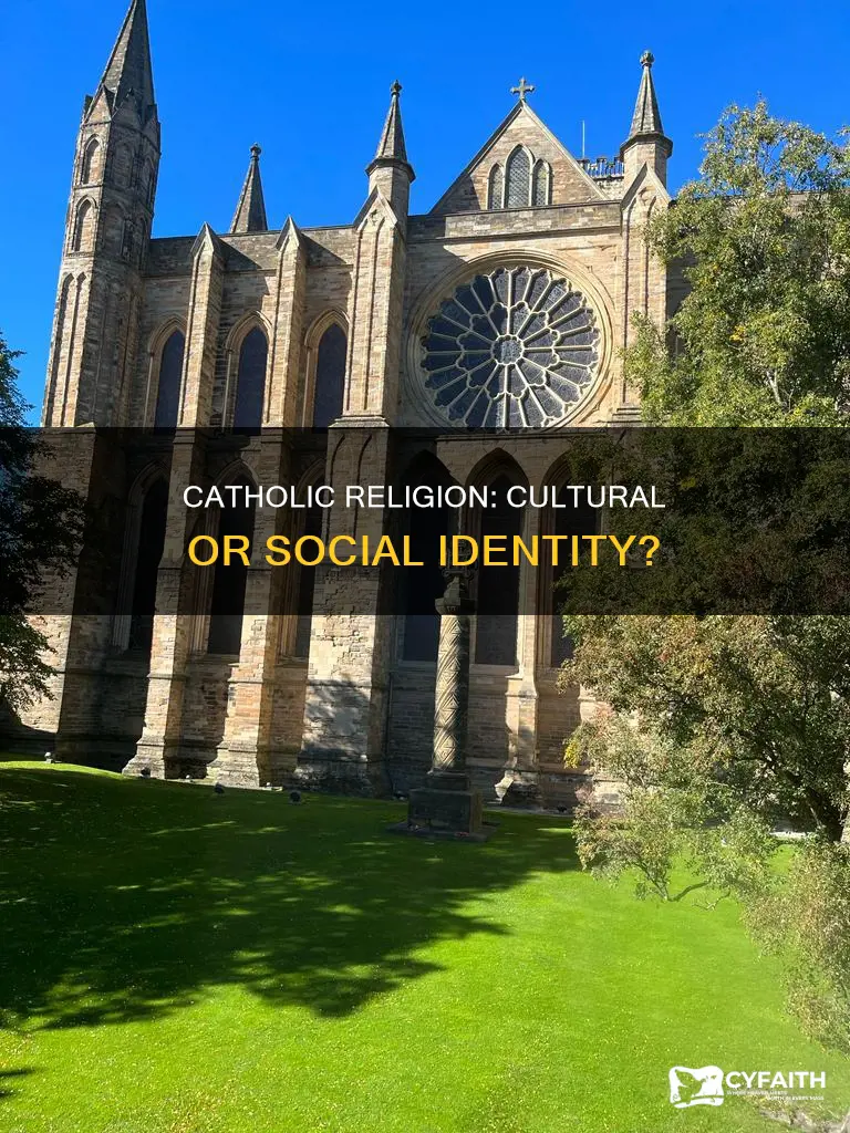 is catholic religion cultural or social group