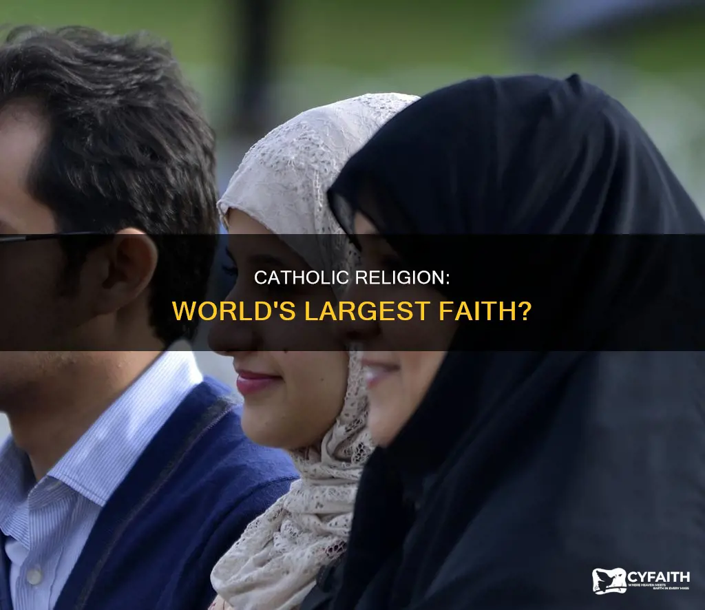 is catholic religion the largest in the world