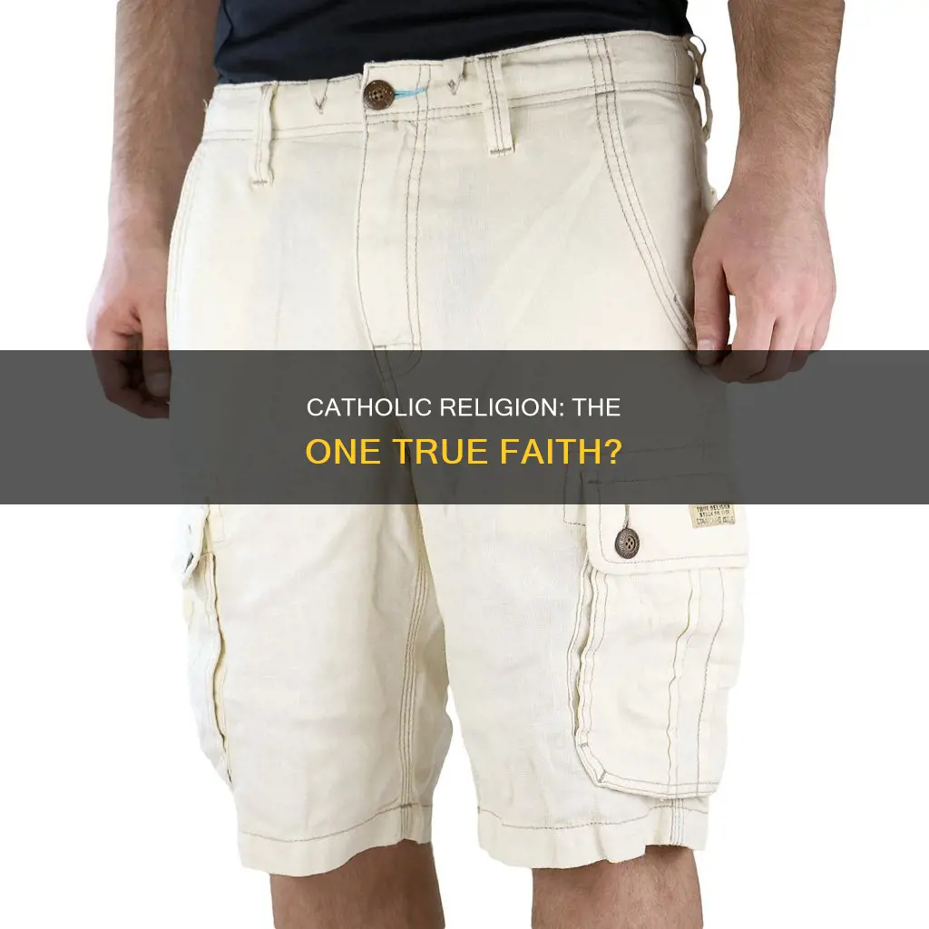 is catholic religion the true religion