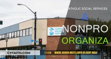 Catholic Social Services: A Nonprofit Organization?