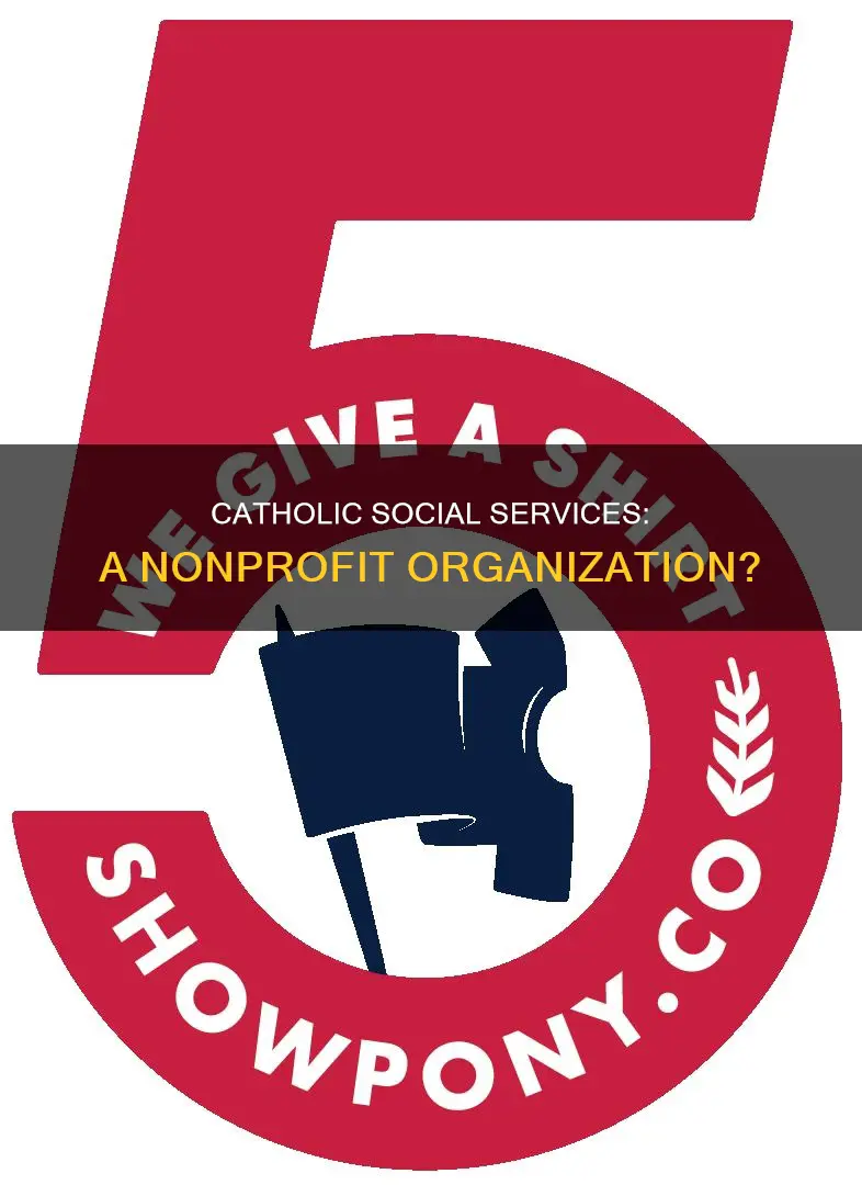 is catholic social services a nonprofit organization