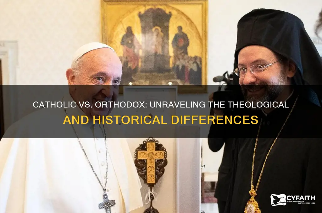 is catholic synonymous with orthodox