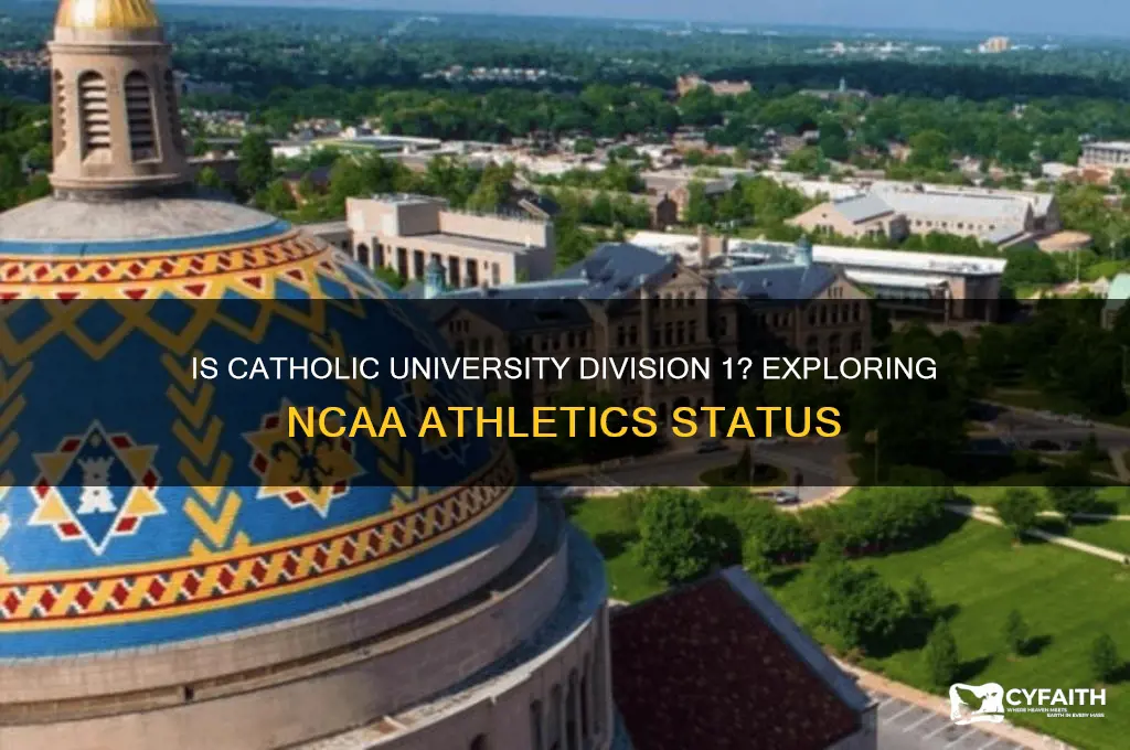 is catholic university division 1