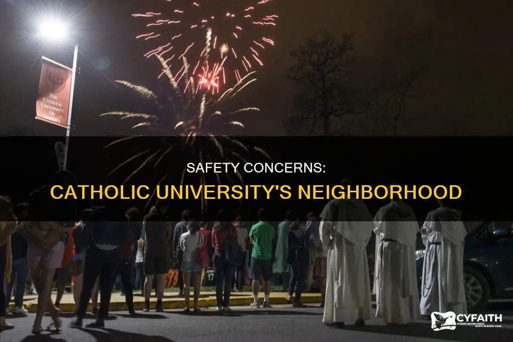 is catholic university in a bad area