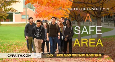 Safety at Catholic University: Is the Area Safe?