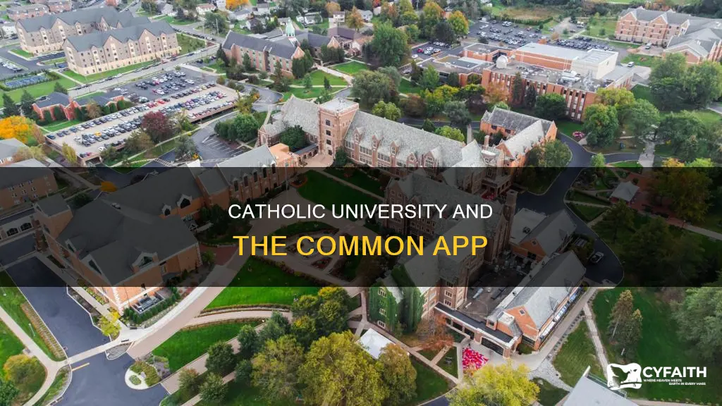 is catholic university on common app