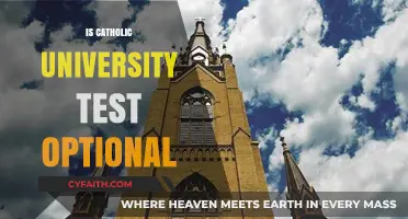 Is Catholic University Test-Optional? Admissions Requirements Explained