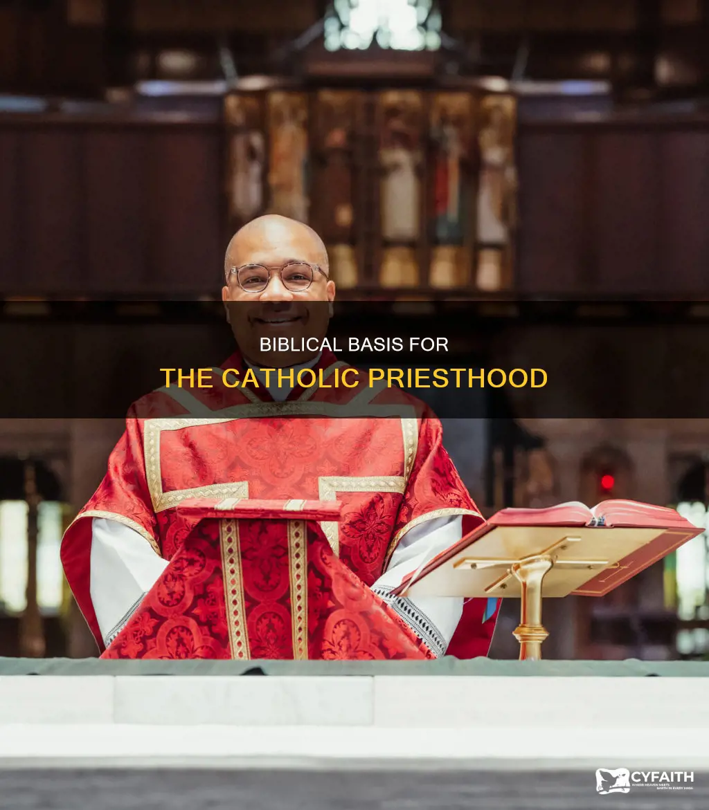 is catholic view of priesthood biblical