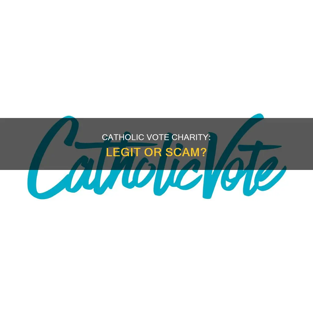 is catholic vote a legitimate charity