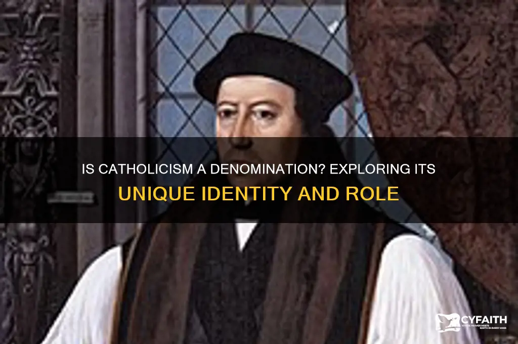 is catholicism a denomination