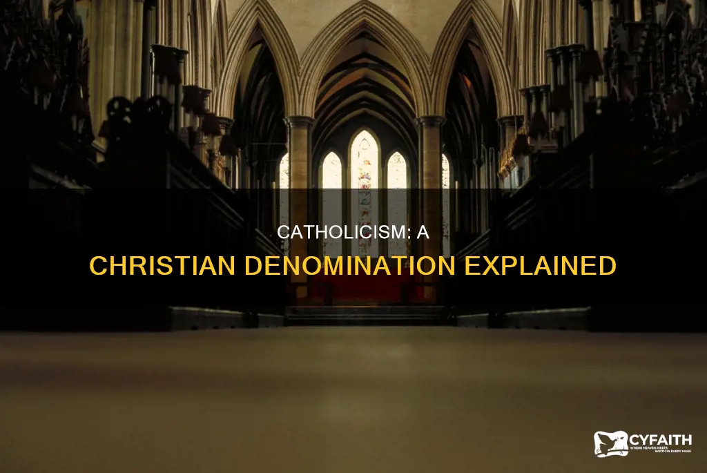 is catholicism a type of christianity