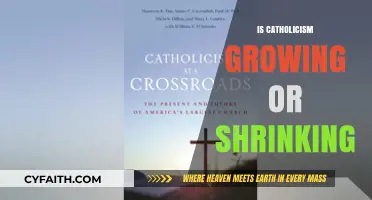 Catholicism's Global Presence: Expanding or Declining in Modern Times?
