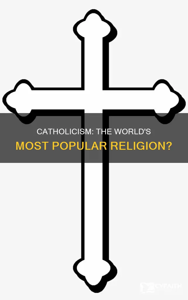 is catholicism the largest religion in the world