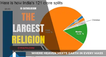 Is Catholicism the Largest Religion? Exploring Global Faith Demographics