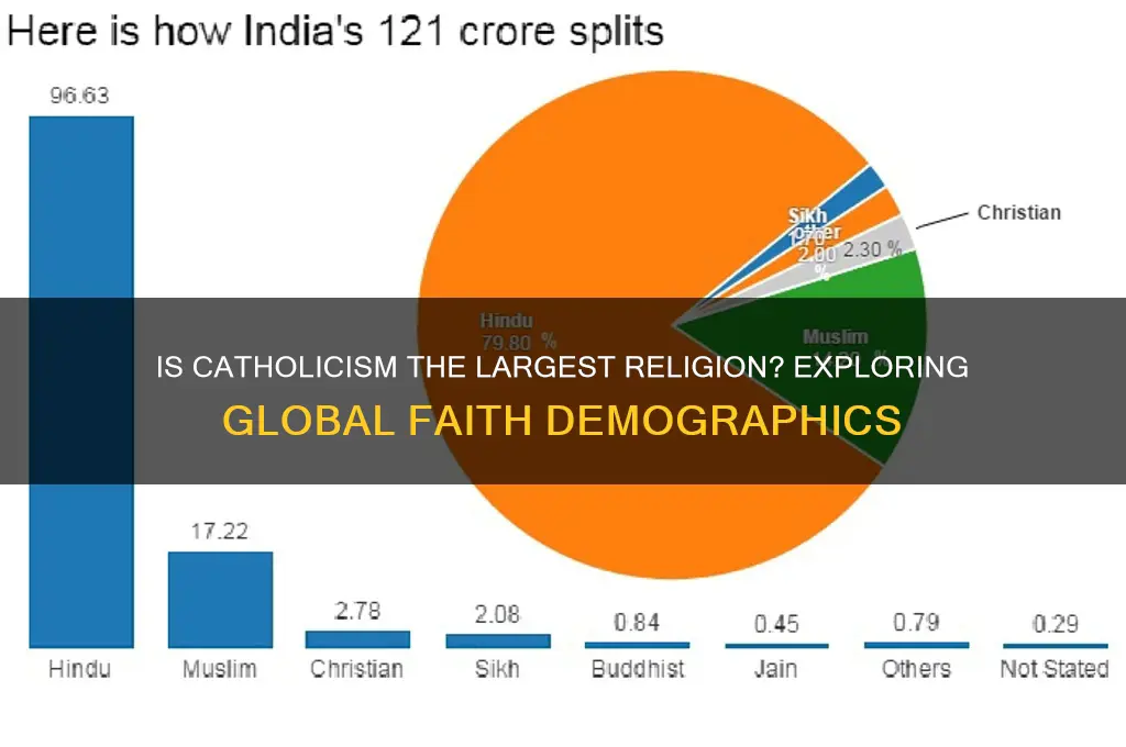 is catholicism the largest religion