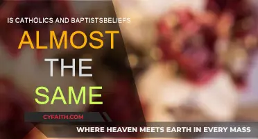 Baptists and Catholics: What Are the Core Beliefs?