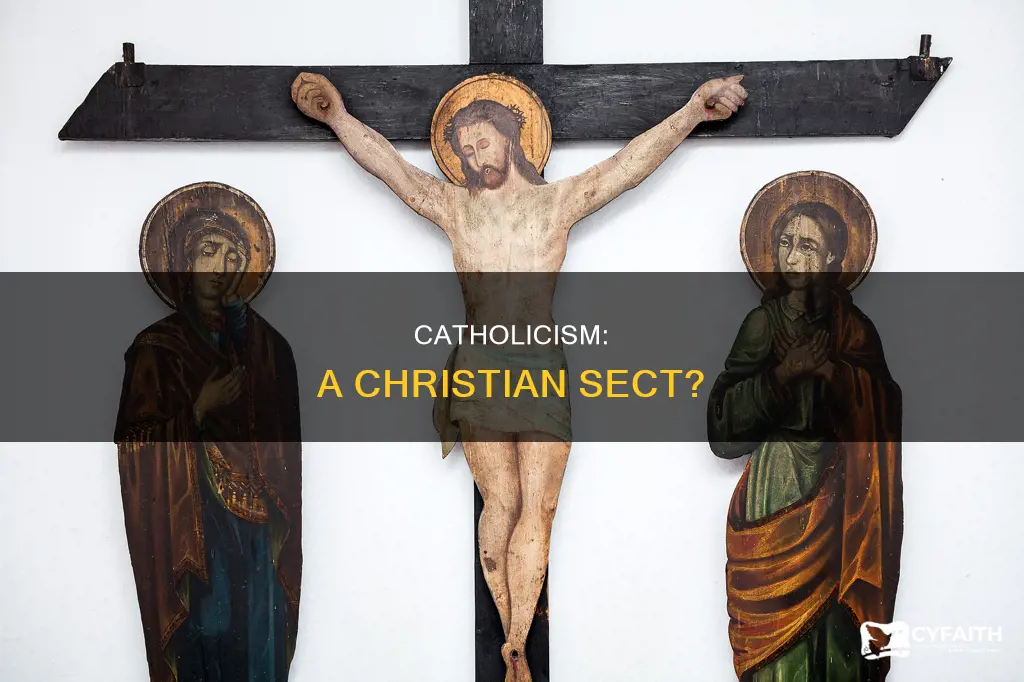 is catholism a sect of christianity