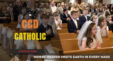 Is CCD Catholic? Exploring the Faith Behind Religious Education