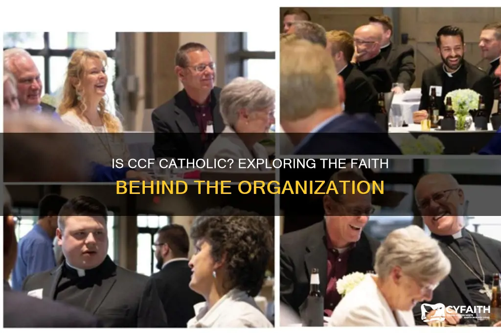 is ccf catholic
