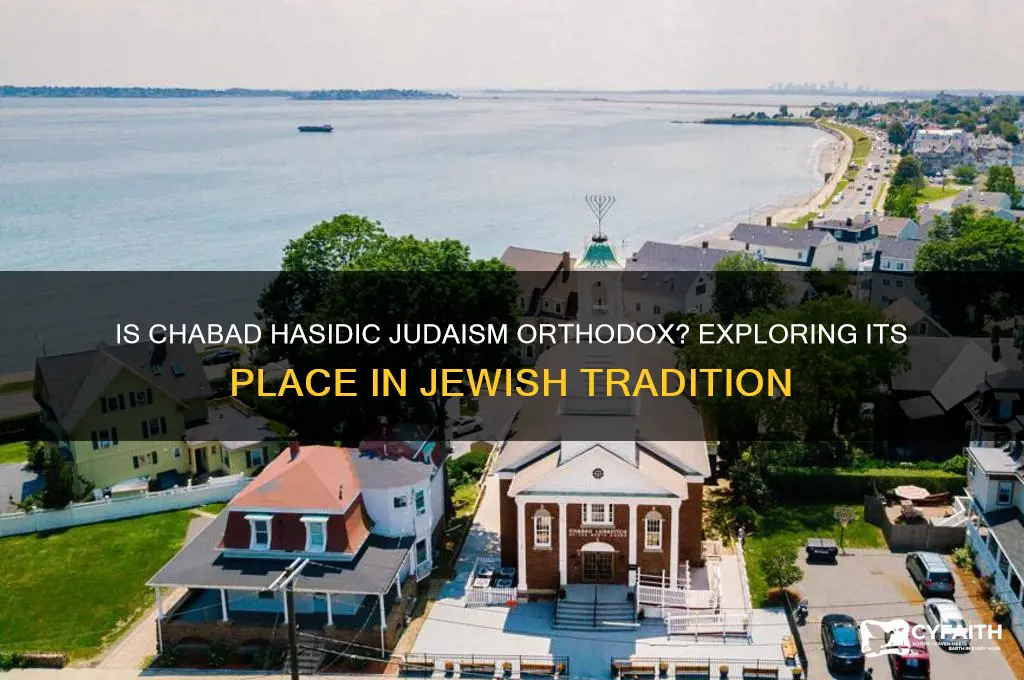 is chabad hasidic considered orthodox