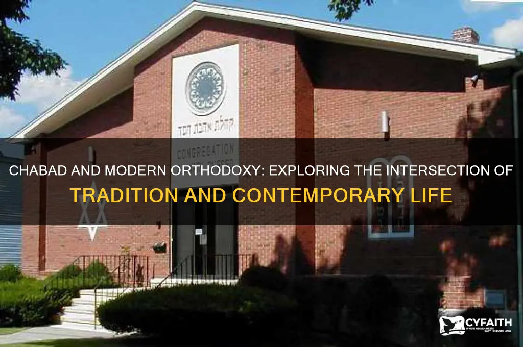 is chabad modern orthodox