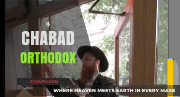 Is Chabad Orthodox? Exploring the Movement's Religious Identity and Practices