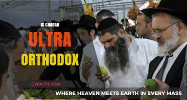 Is Chabad Ultra-Orthodox? Exploring the Movement's Religious Identity