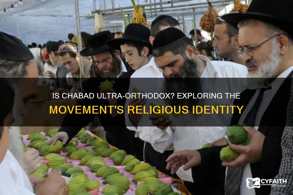 is chabad ultra orthodox