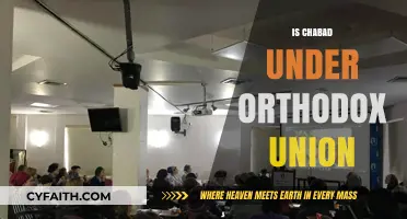 Chabad and Orthodox Union: Understanding Their Distinct Roles and Relationships