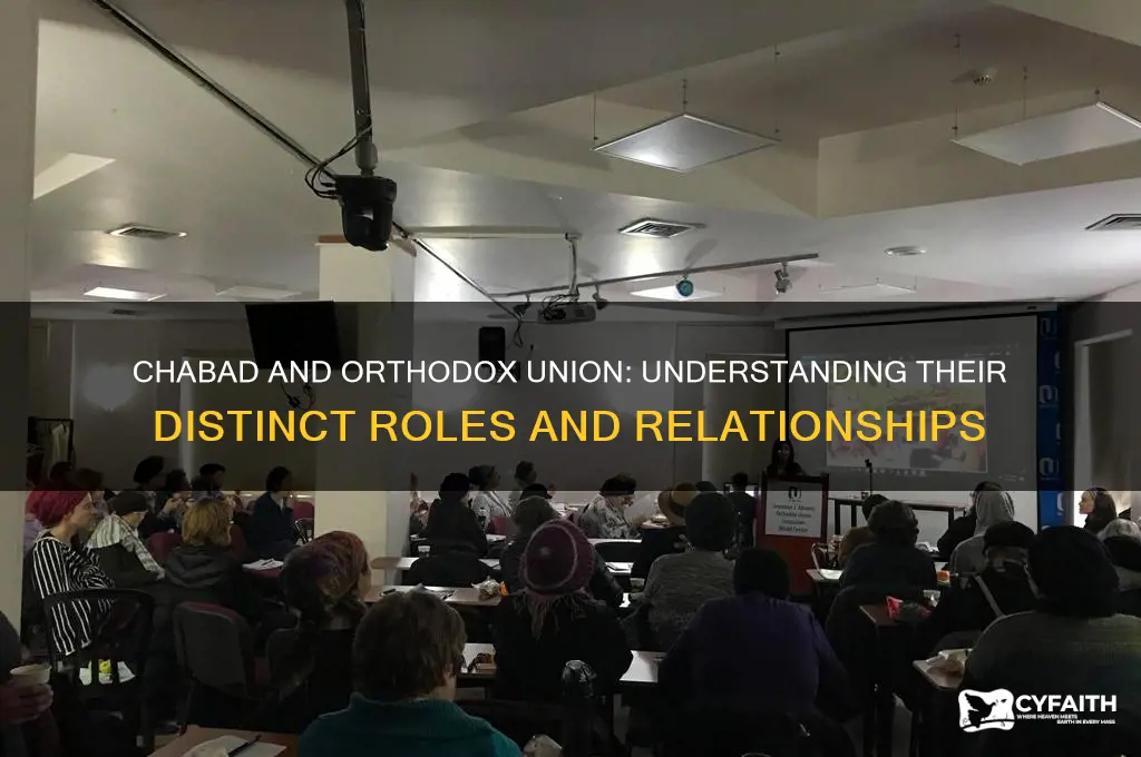 is chabad under orthodox union