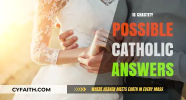 Can Chastity Be Lived Today? Catholic Insights and Practical Answers