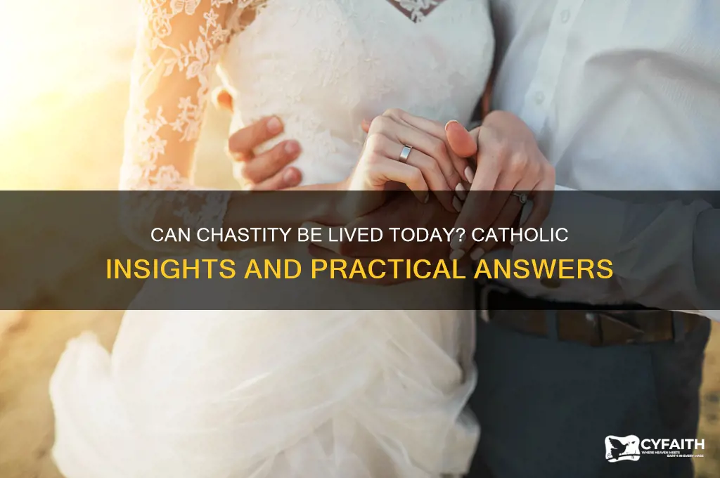 is chastity possible catholic answers