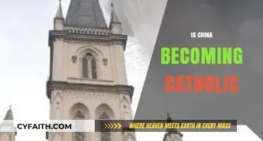 China's Catholic Surge: Faith, Politics, and Cultural Shifts Explored