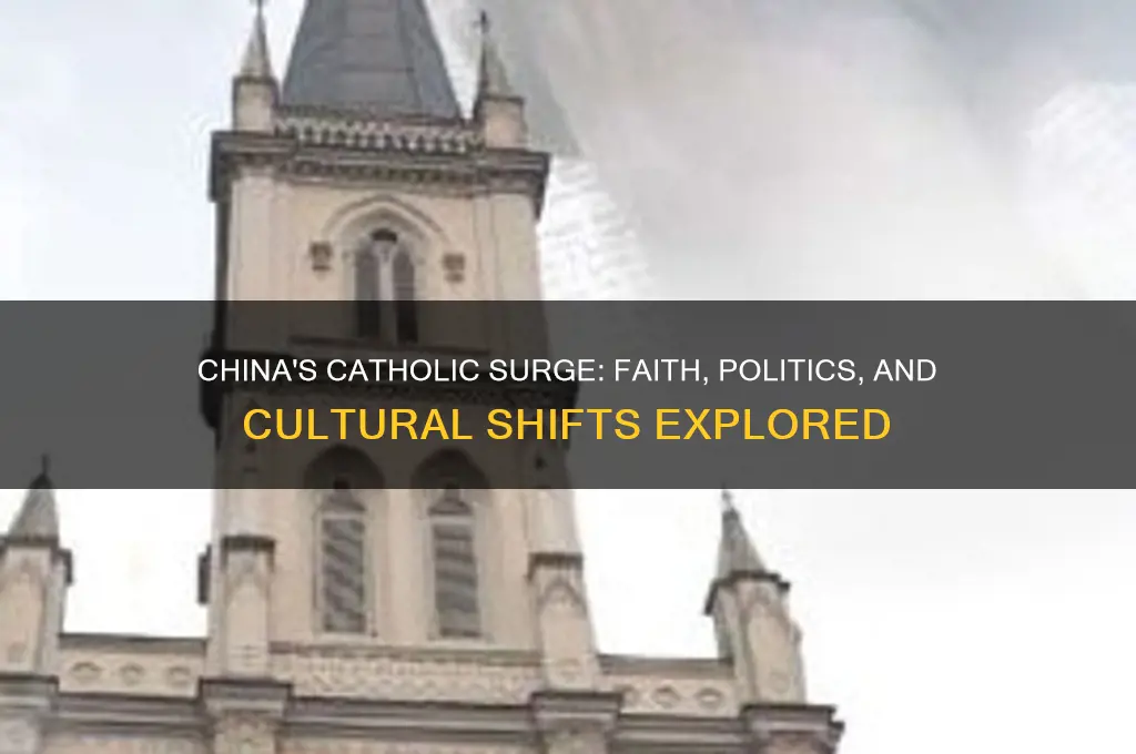 is china becoming catholic