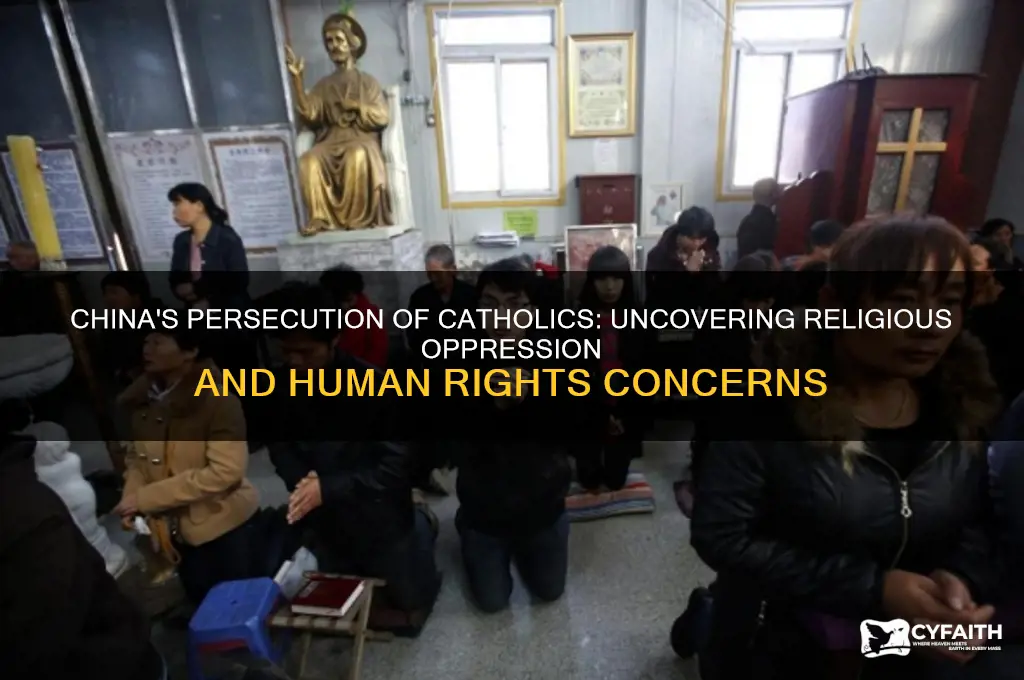 is china killing catholics
