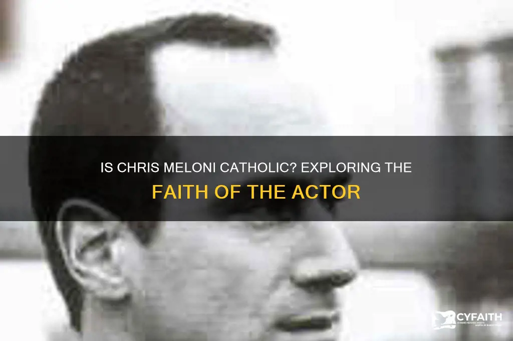 is chris meloni catholic