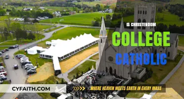 Is Christendom College Catholic? Exploring Faith and Education
