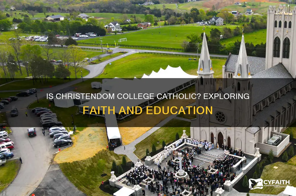 is christendom college catholic