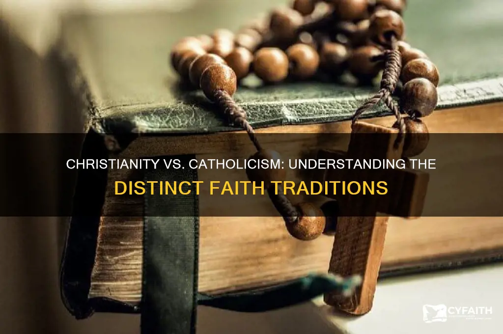 is christianity a catholic