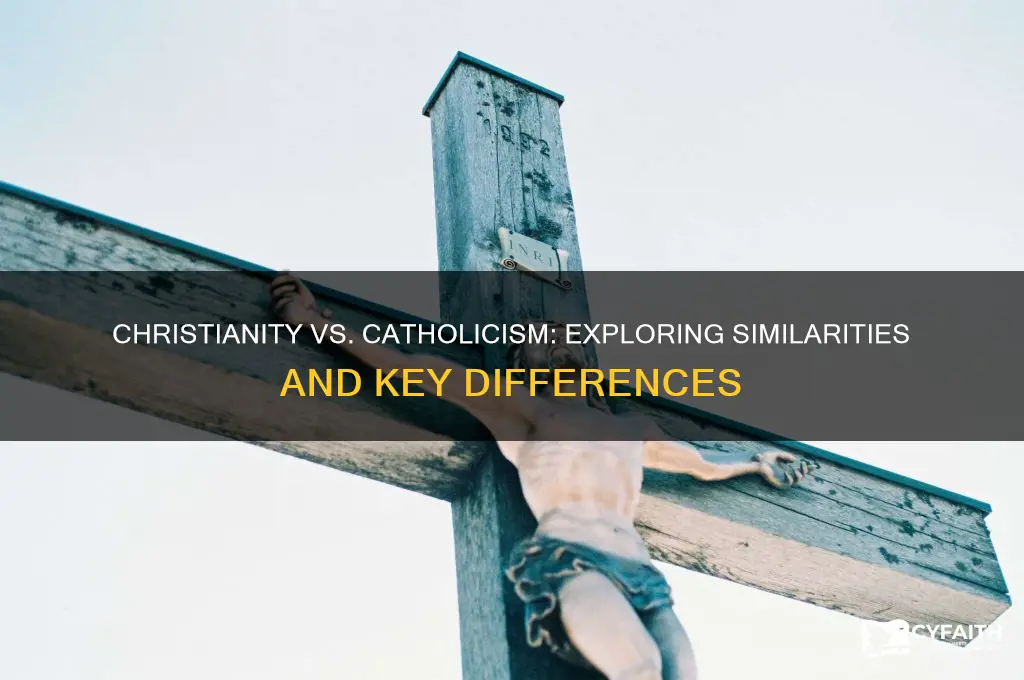 is christianity and catholic similar