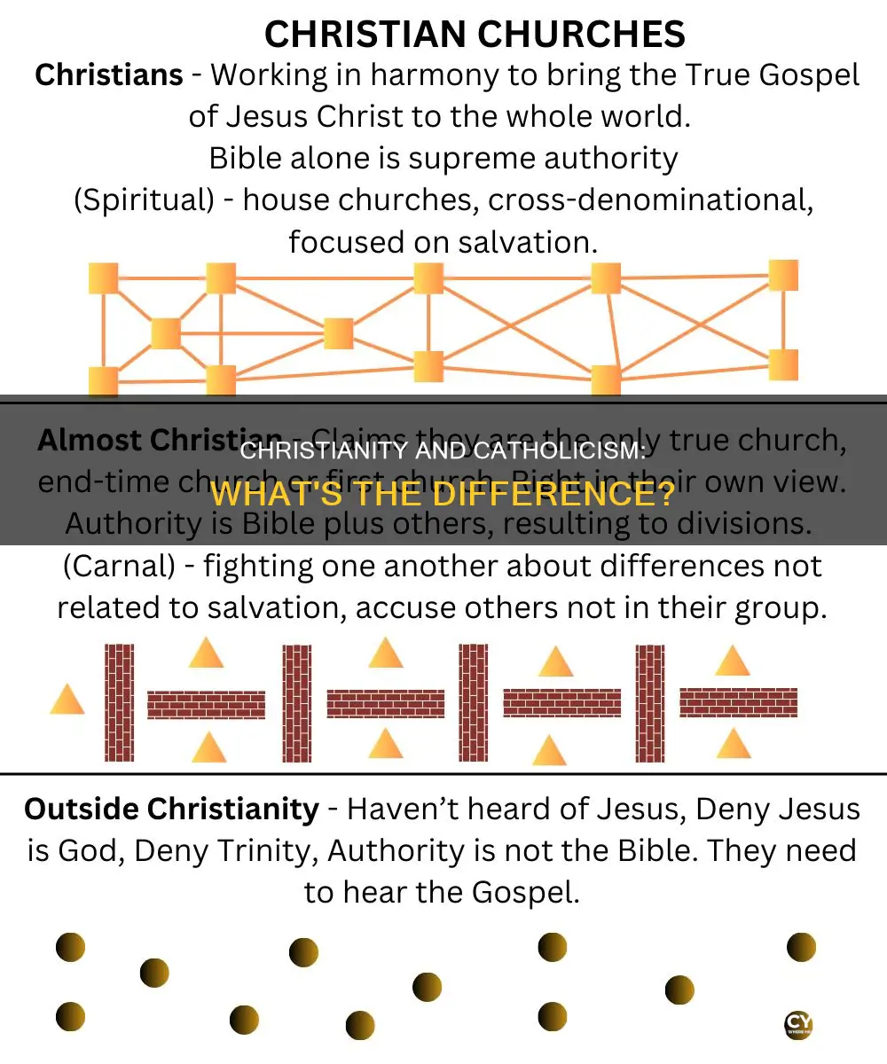 is christianity and catholic the dsme