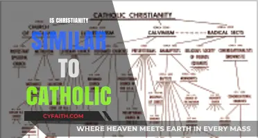 Christianity vs. Catholicism: Exploring the Similarities and Key Differences