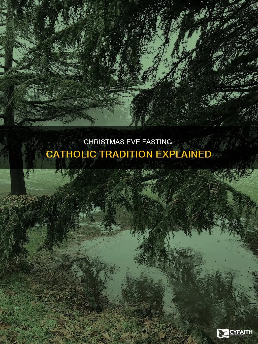 is christmas eve a fast day for catholics