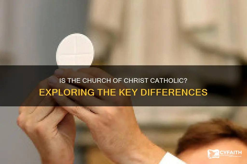 is chuch of christ catholic