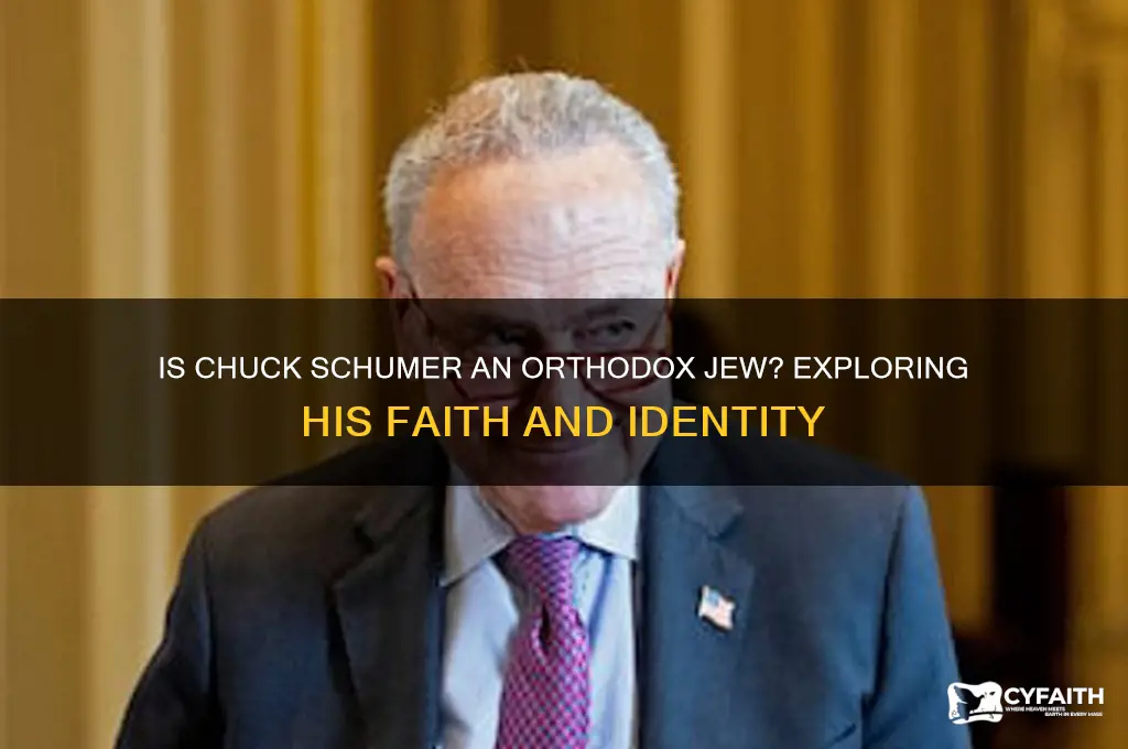 is chuck schumer an orthodox hew