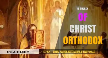 Exploring the Theological Roots: Is the Church of Christ Orthodox?
