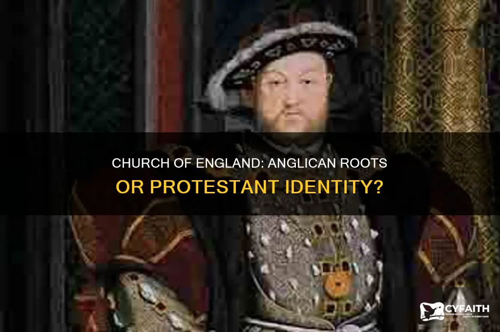 is church of england anglican or protestant